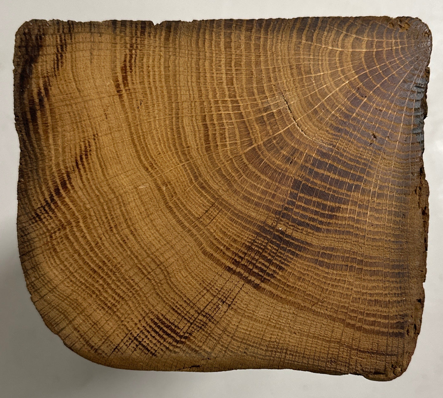 WoodPedestal piedestal lille egetræ