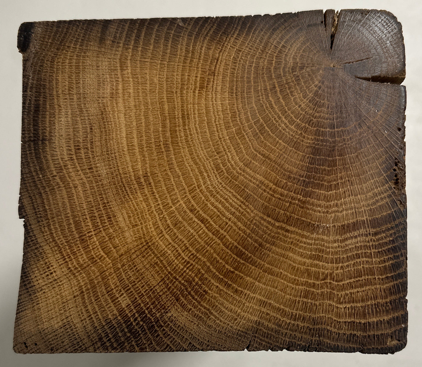 WoodPedestal piedestal mellem egetræ