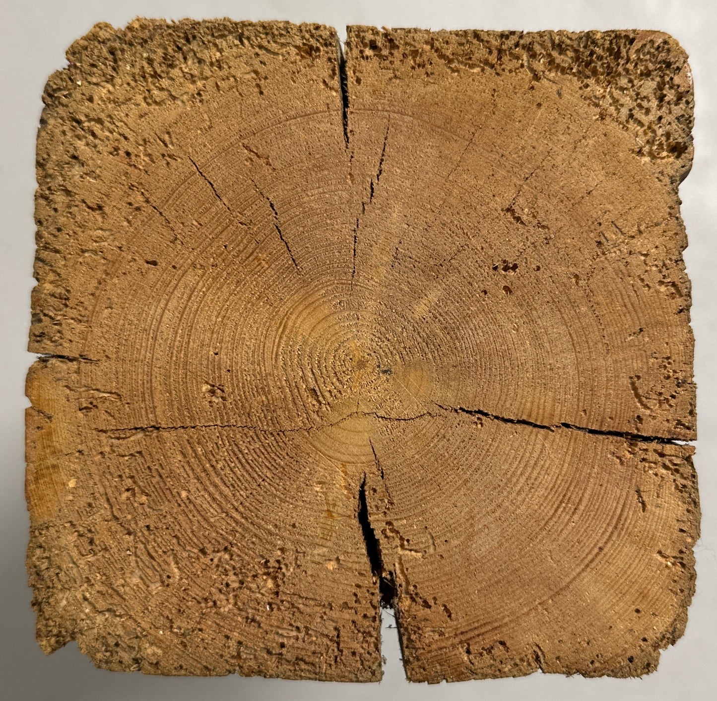 WoodPedestal piedestal mellem fyrretræ
