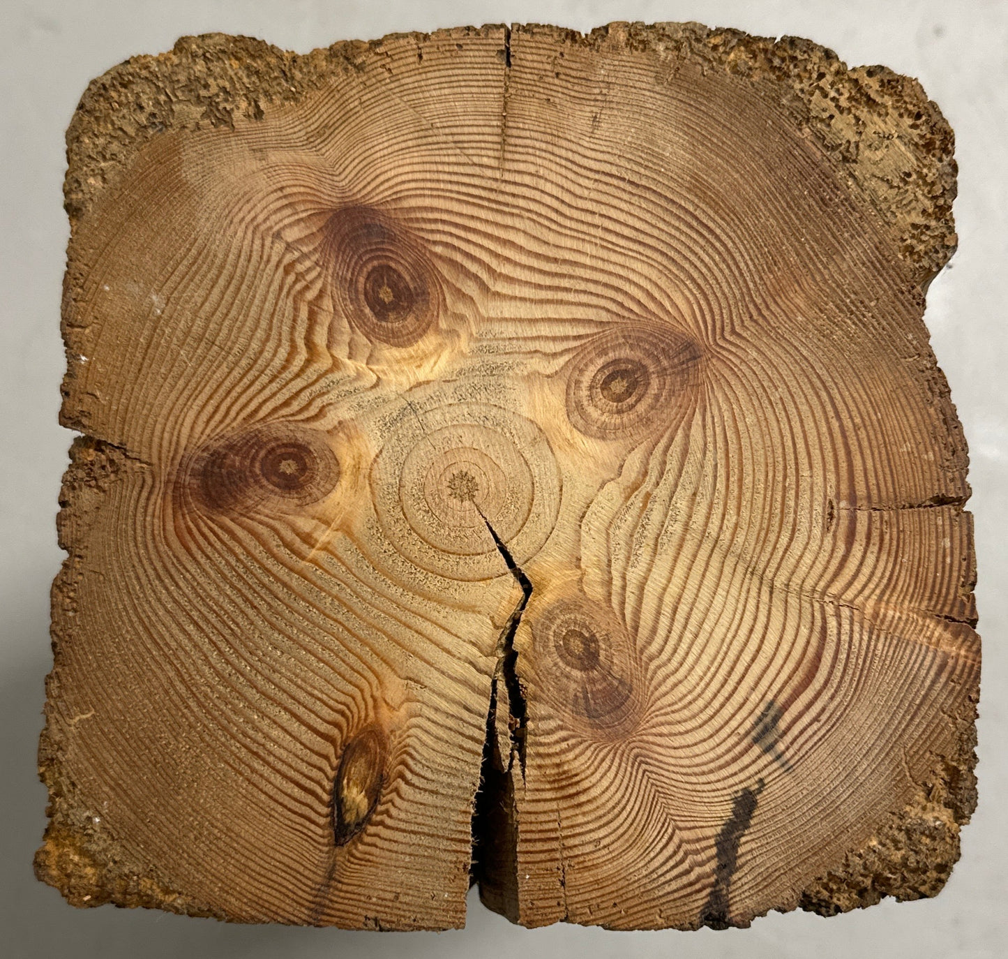 WoodPedestal piedestal lille fyrretræ