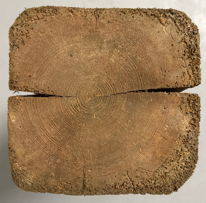 WoodPedestal piedestal mellem fyrretræ