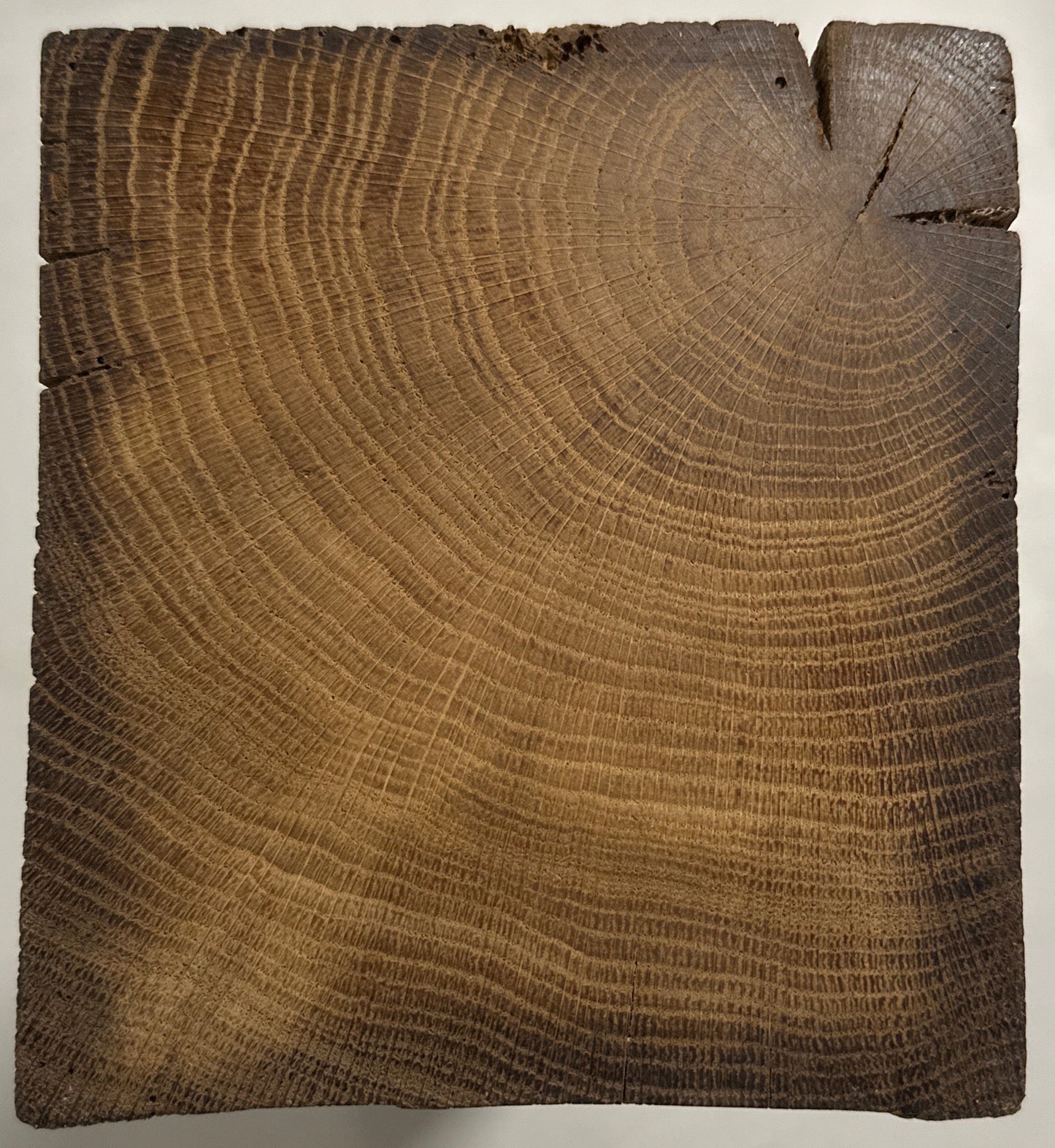 WoodPedestal piedestal stor egetræ
