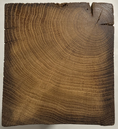 WoodPedestal piedestal stor egetræ