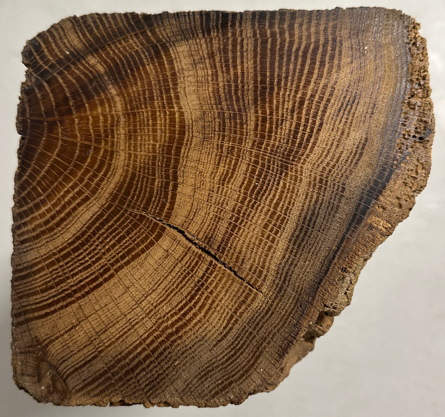 WoodPedestal piedestal lille egetræ